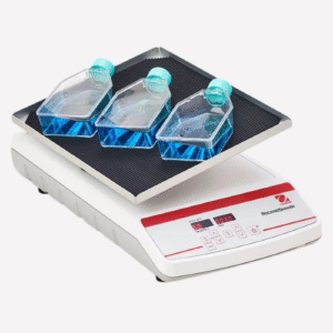 Rocking & Waving Shakers